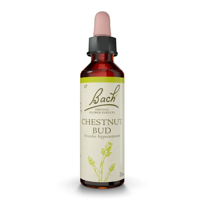Bach Chestnut Bud 20 ml