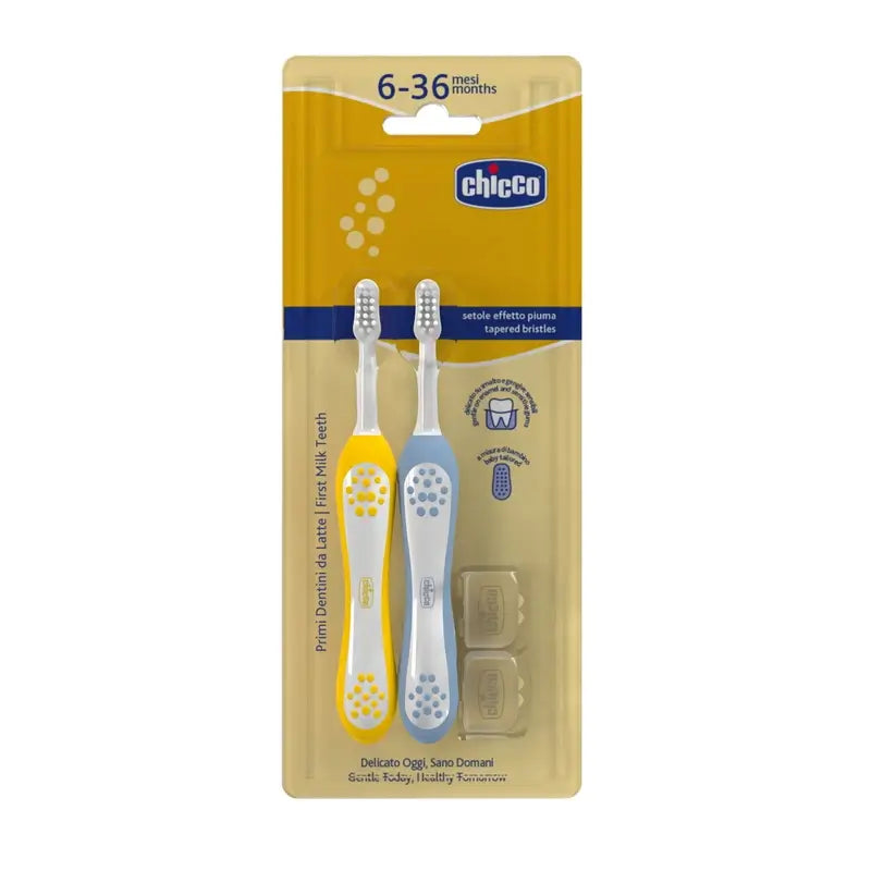Chicco Spazzolino Bipack Indaco e Senape 6-36M