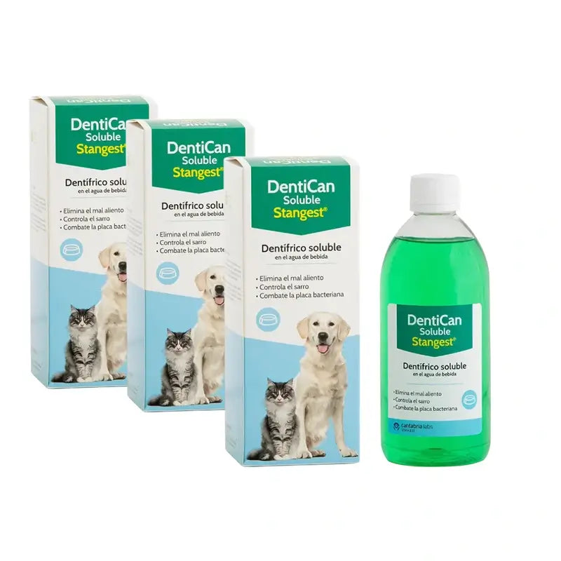 Dentican Stangest Solubile, 3X500 Ml