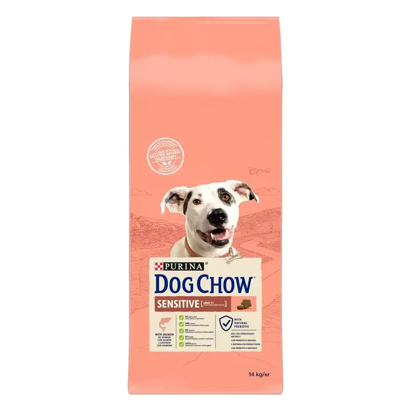 Dog Chow Canine Adult Sensitive Salmon 14Kg, cibo per cani per cani