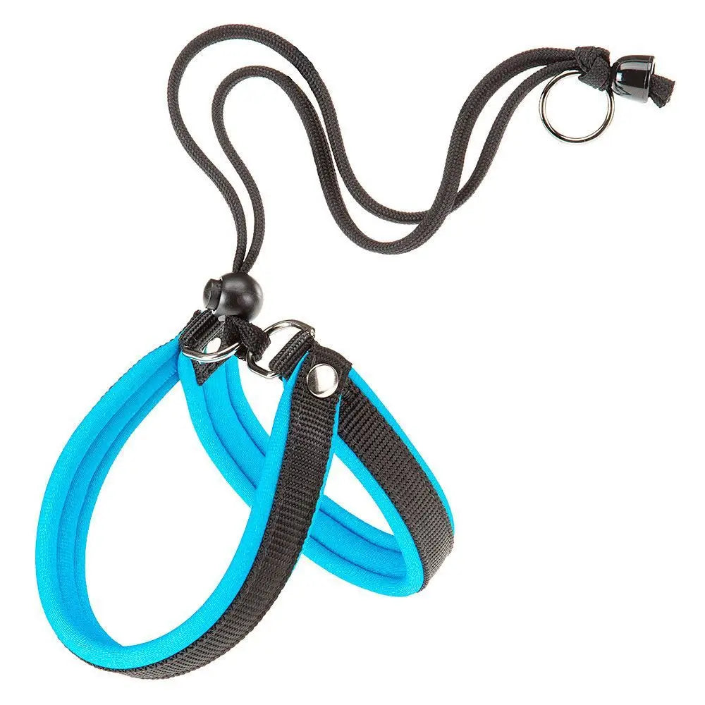 Ferplast Arnes Agila Fluo 2 Azul