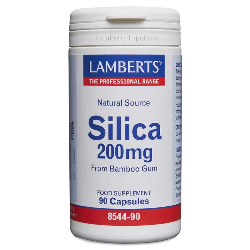 Lamberts Silicio , 90 cápsulas