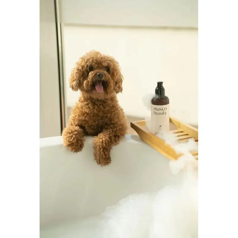 Masco Beauty Aloe Vera Detox Shampoo per cani, 250ml
