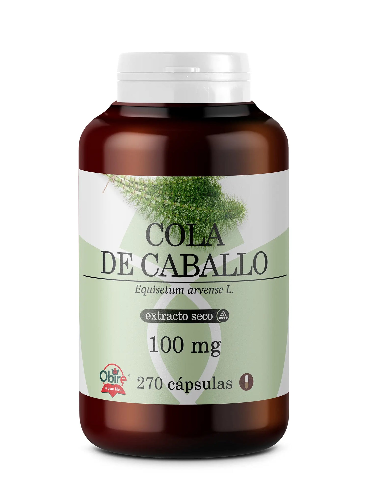 Obire Equiseto di grande formato 100 Mg, 270 capsule