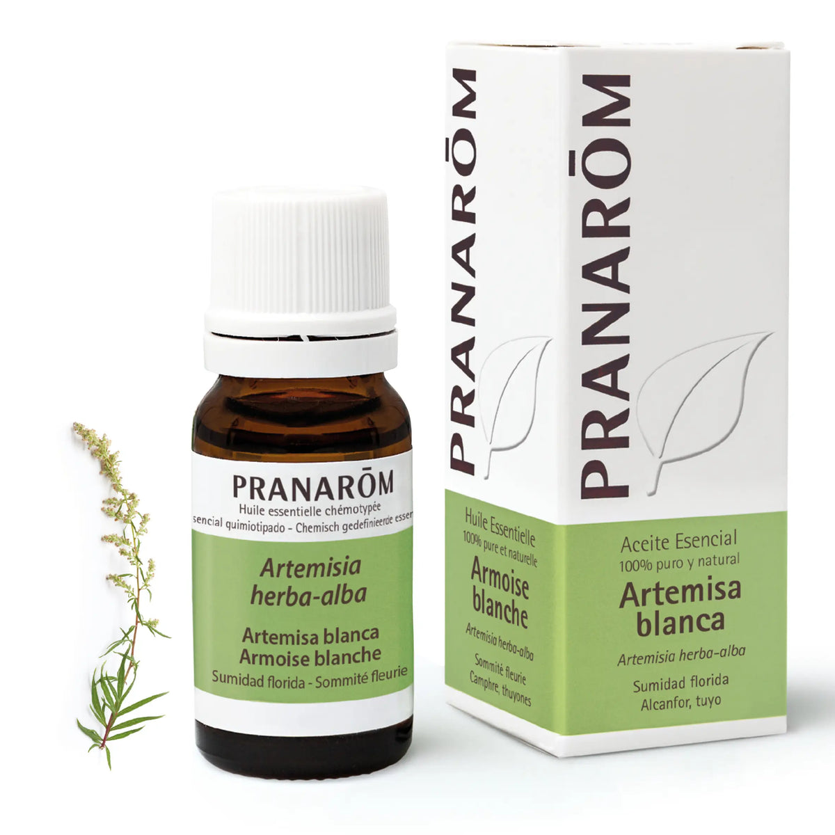 Pranarôm White mugwort 10 ml