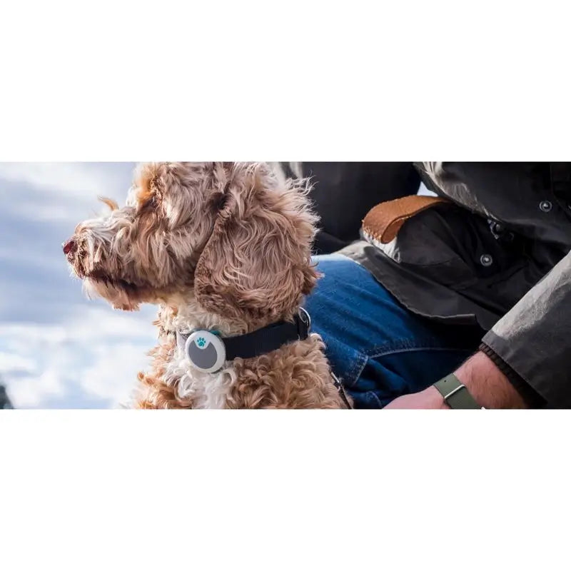 Sure PetCare Animo - Monitor di comportamento e attività per cani.
