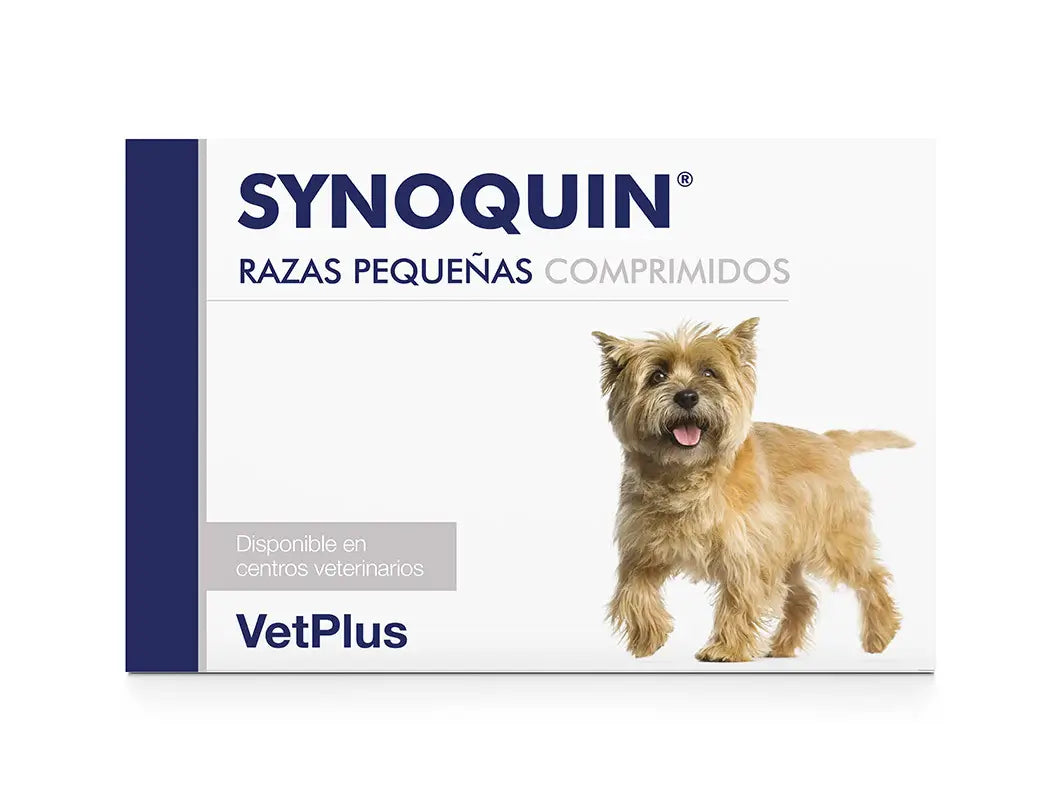 Synoquin Piccola Razza 90Cpd