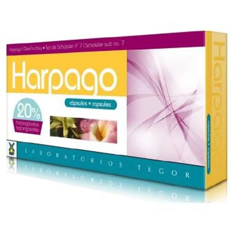 Tegor Harpago 40 Cápsulas