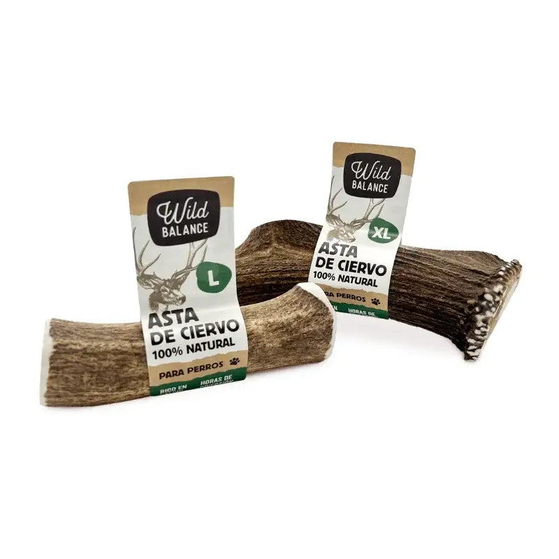 Wild Balance - Corno di cervo M intero - Giocattolo da masticare naturale per cani