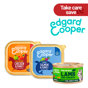 REBAJAS - EDGARD & COOPER 10% (31 JULIO 2026)