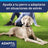 Ceva Collare Adaptil 70 cm Collare antistress ai feromoni