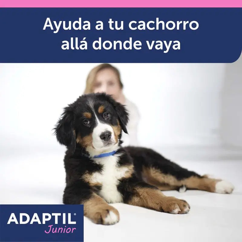 Collare Ceva Adaptil Junior