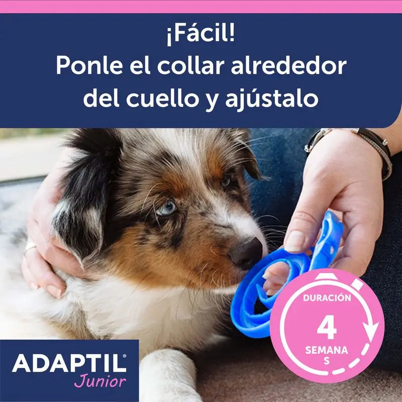 Collare Ceva Adaptil Junior