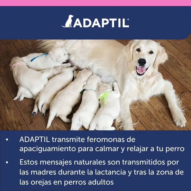 Collare Ceva Adaptil Junior