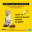 AdTab 12Mg Compresse Masticabili Gatti 0,5-2Kg, 3Cpd