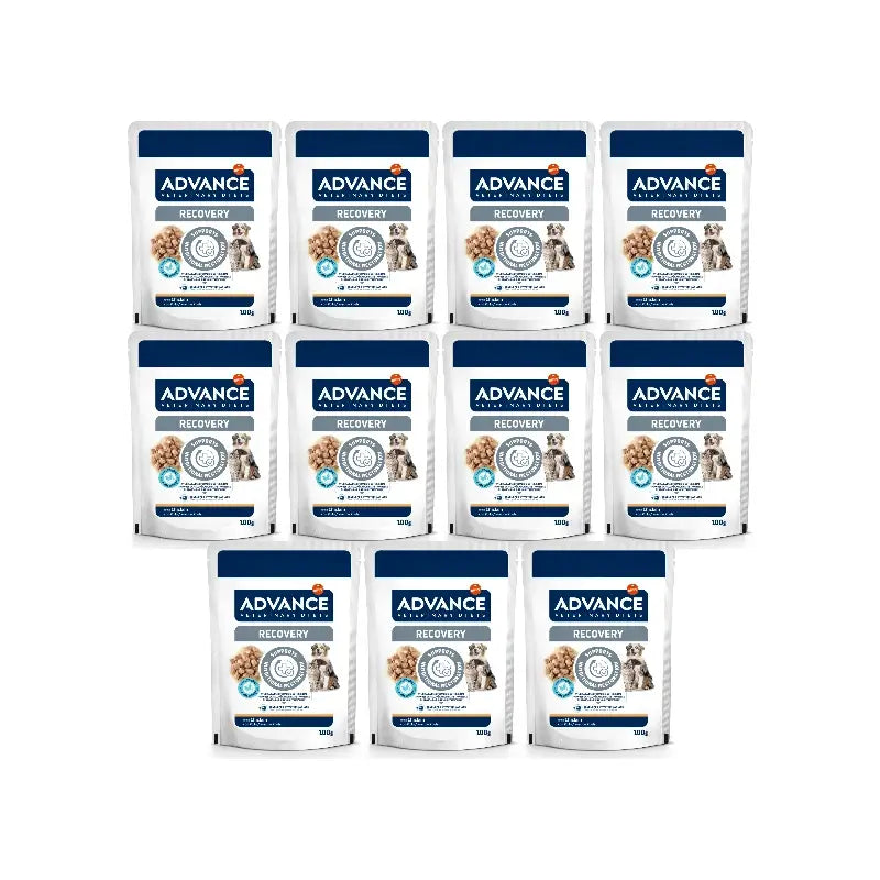 Advance Cibo umido per animali domestici, con cibo umido, monodose, 11 x 100 g