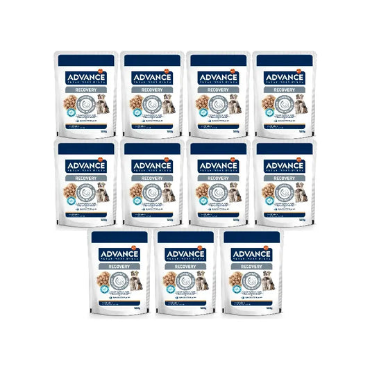Advance Cibo umido per animali domestici, con cibo umido, monodose, 11 x 100 g