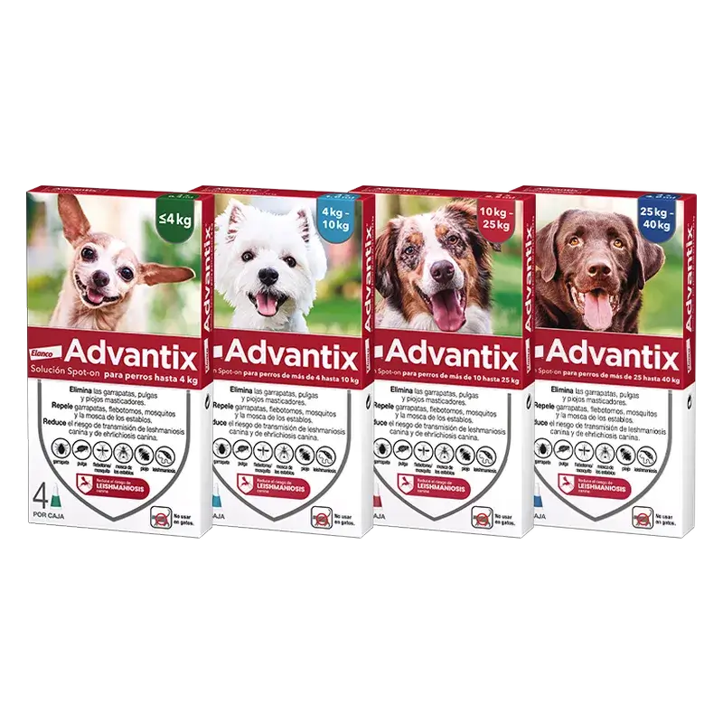 Advantix Mono Pipetta, 2,5 ml 10-25Kg