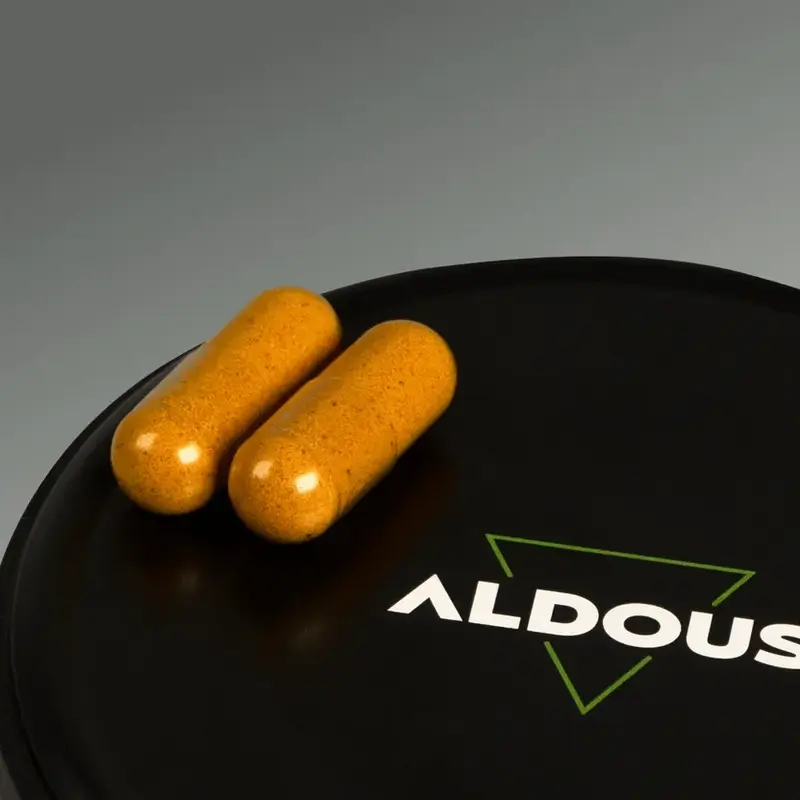 Aldous Bio Curcuma con zenzero e pepe nero con probiotici, 2X250 capsule