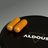 Aldous Bio Curcuma con zenzero e pepe nero con probiotici, 2X250 capsule
