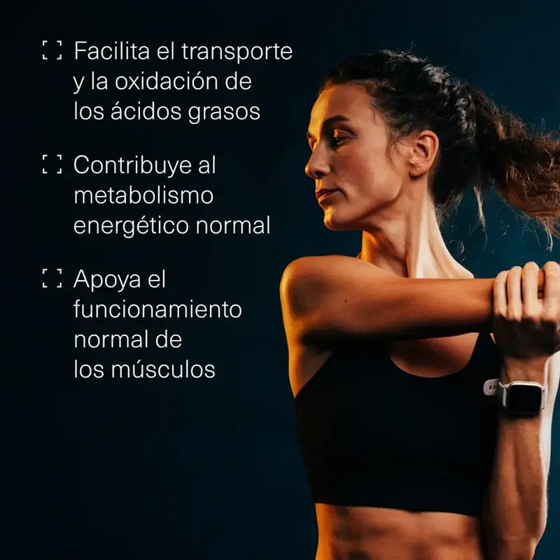 Aldous Bio L Carnitina 2000Mg Integratore pre-allenamento e recupero muscolare, 200 compresse