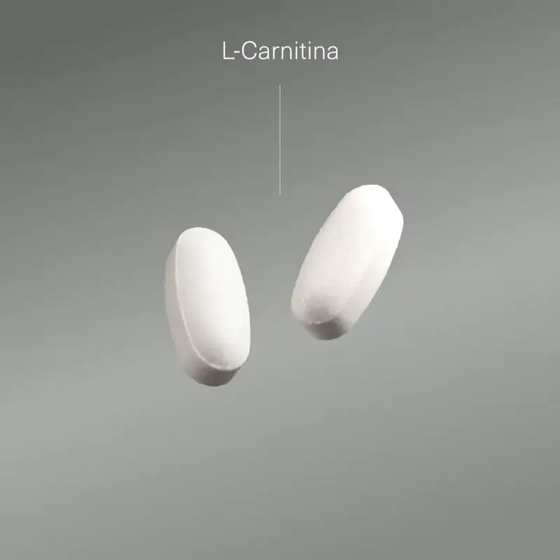 Aldous Bio L Carnitina 2000Mg Integratore pre-allenamento e recupero muscolare, 200 compresse