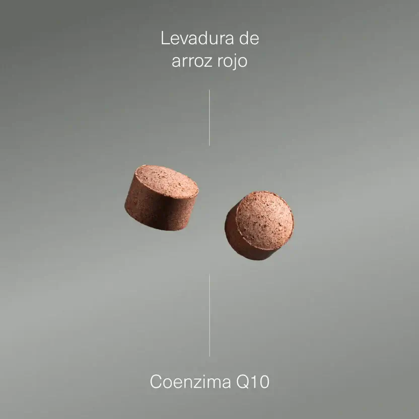 Aldous Bio Aldous Lievito di Riso Rosso con Coenzima Q10 , 400 compresse