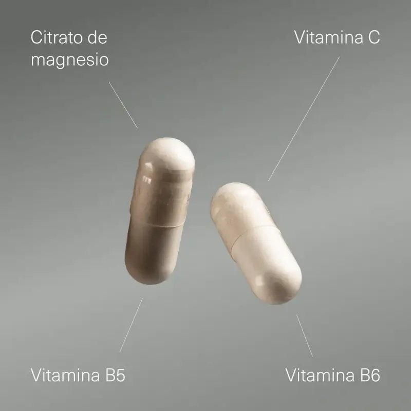 Aldous Labs Integratore alimentare di magnesio con vitamina C, B5 e B6 , 200 capsule
