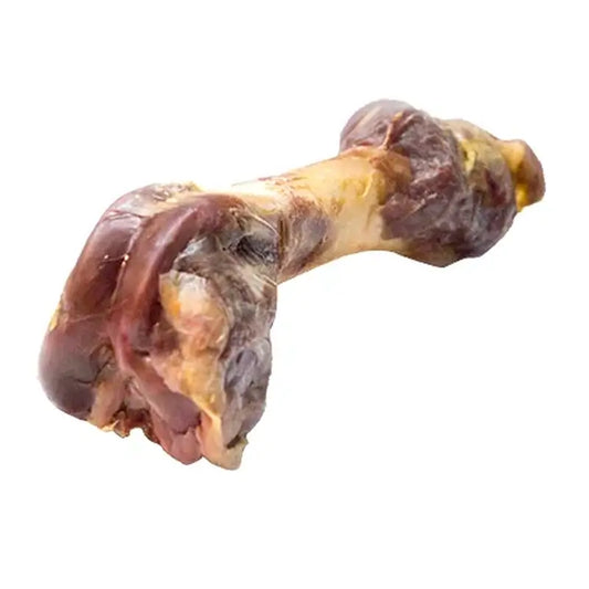 Alpha Spirit Osso di prosciutto canino grande confezionato sotto vuoto 12 pezzi.