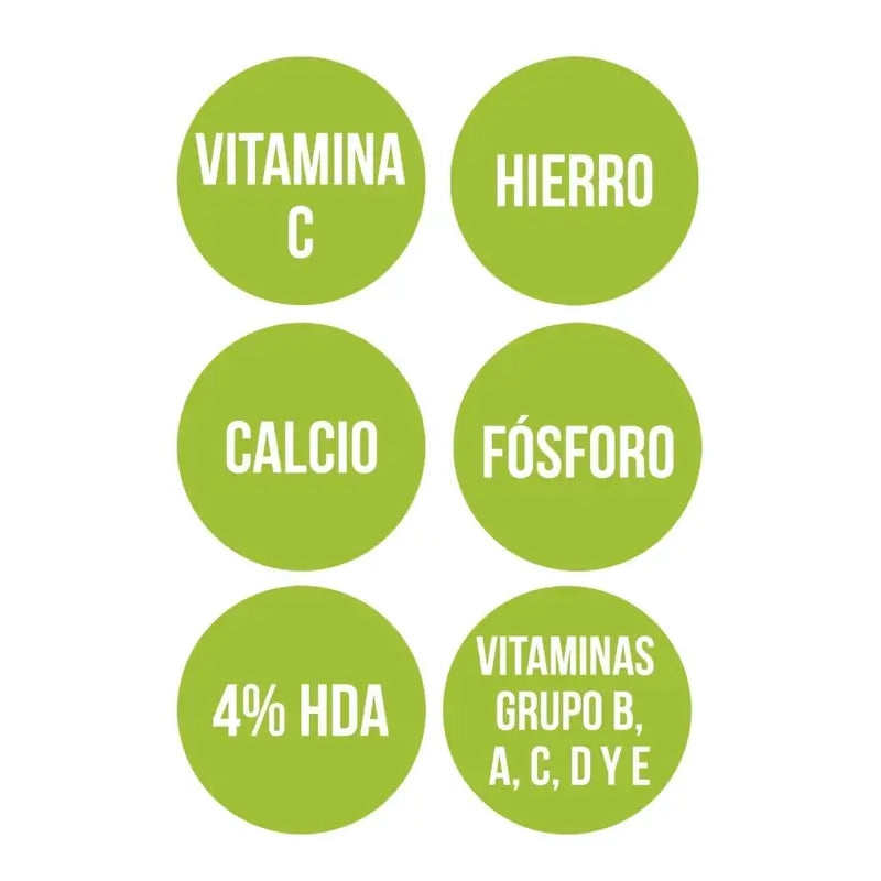 Ana Maria Lajusticia Pappa Reale con Vitamina C 60Cap.
