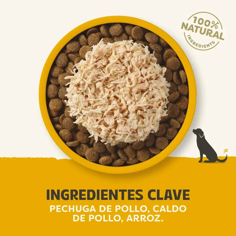 Applaws Dog Topper Lattina Pollo in brodo 12X156Gr