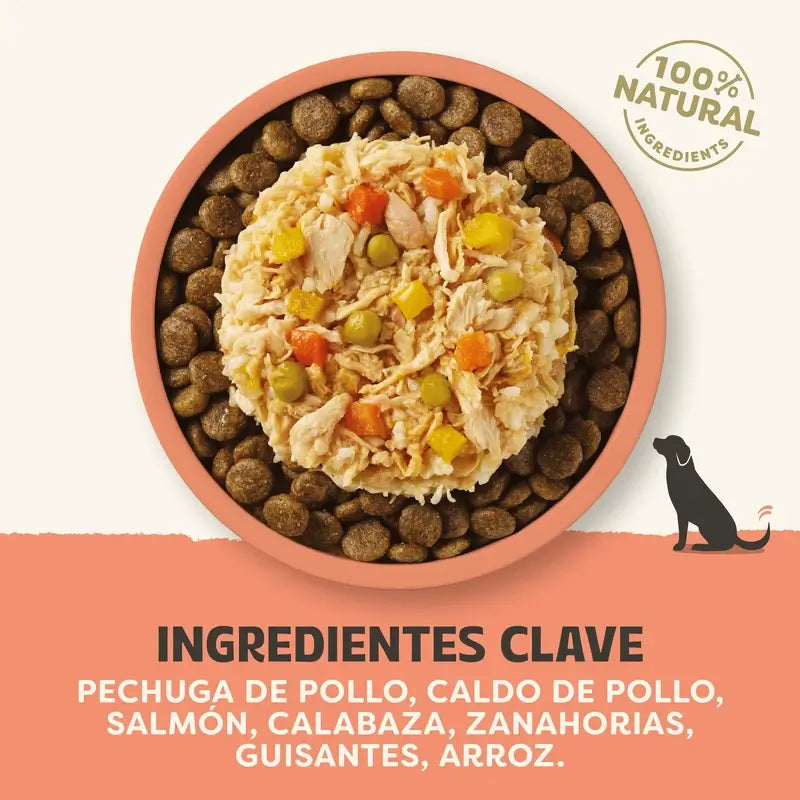 Applaws Dog Chicken Salmon Vegetable Broth Topper Lattina 12X156Gr
