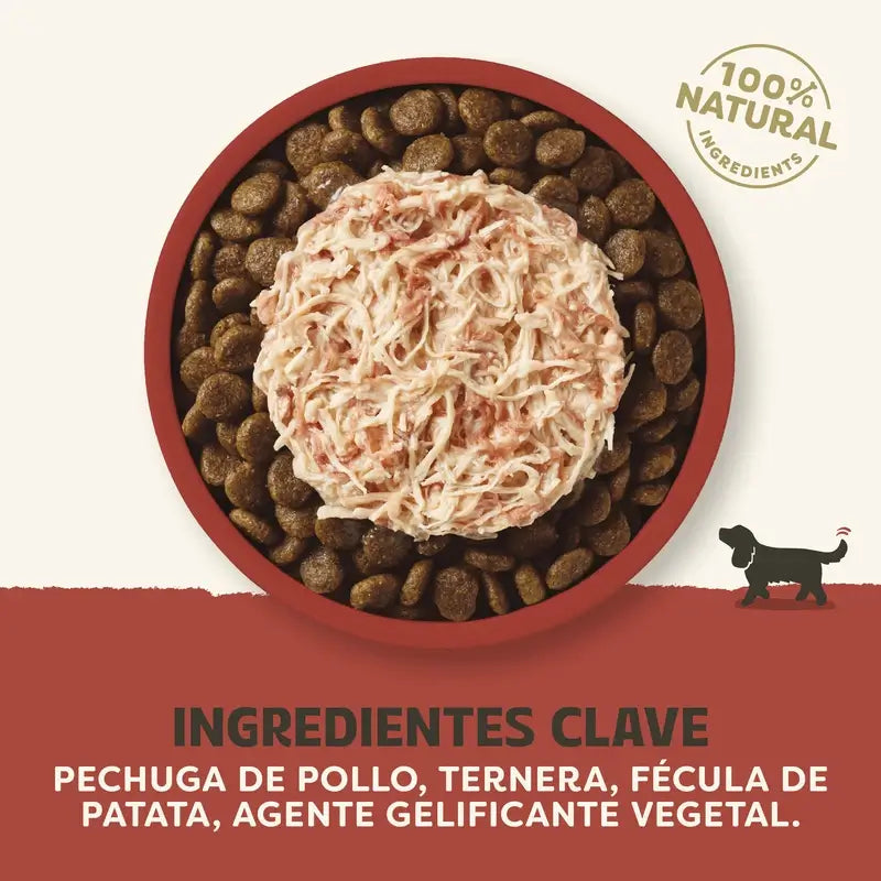 Applaws Dog Topper Tin Pollo e manzo in salsa 12X156Gr