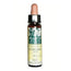 Artesania Chicory Plantis Fiori di Bach n. 08 10Ml.