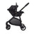 Asalvo Cabrio Biarritz Nero