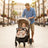 Passeggino Asalvo Fiyi Beige