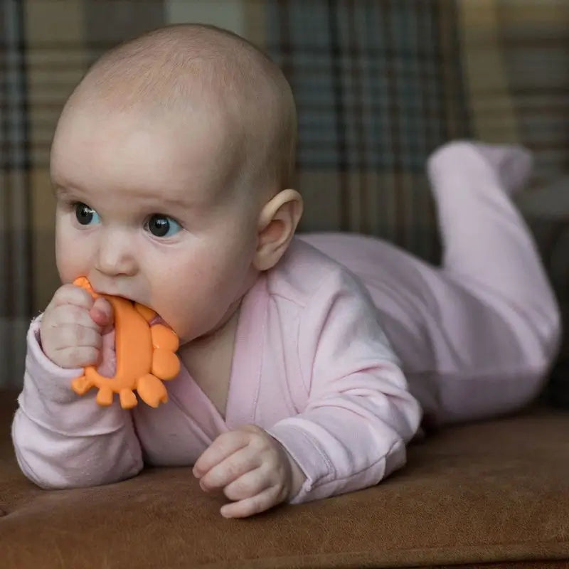 Baboo Crab Teether in silicone, 4+ mesi Arancione