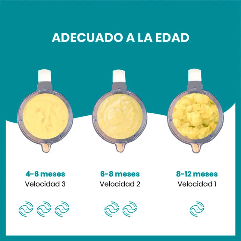 Babymoov Nutribaby (+) Robot culinario grigio industriale per frullare e cuocere a vapore