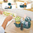 Babymoov Robot multifunzione 6 in 1 Nutribaby(+) Verde Opale