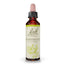 Bach Honeysuckle 20 ml