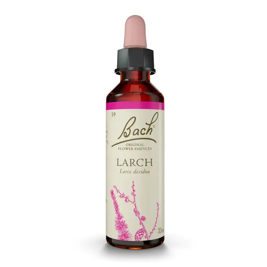 Bach Larch 20 ml