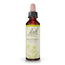 Senape di Bach 20 ml