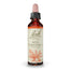 Bach Red Chestnut 20 ml