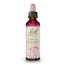 Bach Stella di Betlemme 20 Ml