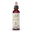 Acqua di Bach Viola 20 ml
