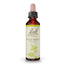 Bach Wild Rose 20 ml