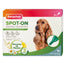Pipette Beaphar Repulsive Antiparassitarie per cani, 3x2 ml