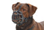 Plastic Buster Muzzle Size 3