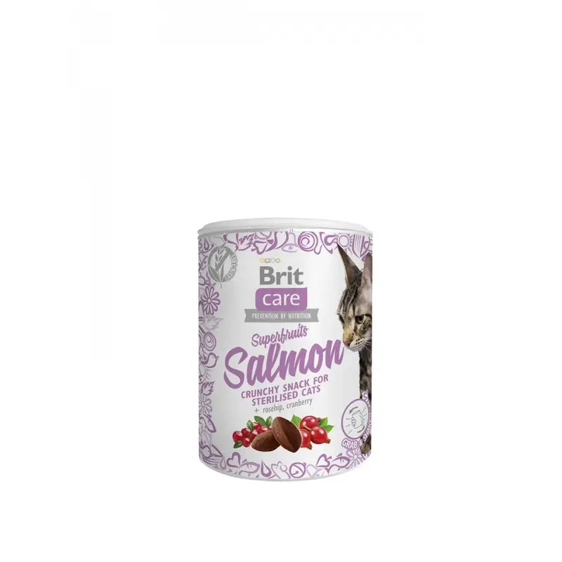 Brit Care Cat Snack Sf al salmone 6x100 grammi