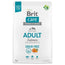 Brit Care Dog Adult Grain Free Salmon 3Kg per cani